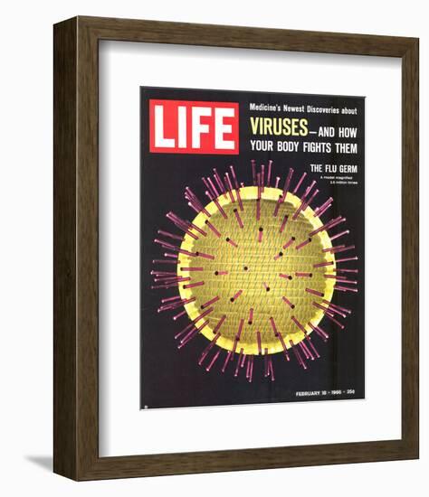 LIFE Viruses-The Flu Germ 1966-null-Framed Premium Giclee Print