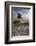 Lifeguard Hut and Sand Dunes, Skanor Falsterbo, Falsterbo Peninsula, Skane, South Sweden, Sweden-Stuart Black-Framed Photographic Print