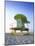 Lifeguard Hut in Art Deco Style, South Beach, Miami Beach, Miami, Florida, USA-Gavin Hellier-Mounted Photographic Print