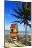 Lifeguard Hut on a Beach, Puerto Rico-George Oze-Mounted Photographic Print