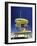 Lifeguard Station at Miami Beach, Florida, USA-Peter Adams-Framed Photographic Print