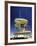 Lifeguard Station at Miami Beach, Florida, USA-Peter Adams-Framed Photographic Print