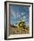 Lifeguard Station, South Beach, Miami, Florida, USA-Richard Duval-Framed Photographic Print