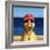 Lifeguard-Lucia Heffernan-Framed Art Print