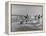 Lifeguards and Members of Womens Swimming Team Start Day by Charging into Surf-Peter Stackpole-Framed Premier Image Canvas