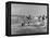 Lifeguards and Members of Womens Swimming Team Start Day by Charging into Surf-Peter Stackpole-Framed Premier Image Canvas