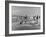 Lifeguards and Members of Womens Swimming Team Start Day by Charging into Surf-Peter Stackpole-Framed Photographic Print