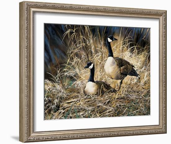 Lifetime Mate- Geese-Andrew Kiss-Framed Art Print