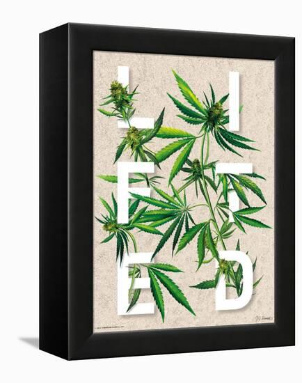 Lifted-JJ Brando-Framed Stretched Canvas