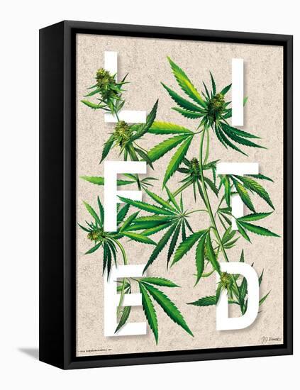 Lifted-JJ Brando-Framed Stretched Canvas