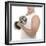 Lifting Weights-Science Photo Library-Framed Premium Photographic Print