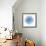 Light 1: Sea Urchin-Doris Mitsch-Framed Photographic Print displayed on a wall