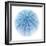 Light 1: Sea Urchin-Doris Mitsch-Framed Photographic Print