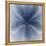 Light 2: Sea Biscuit Sand Dollar-Doris Mitsch-Framed Premier Image Canvas