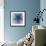 Light 2: Sea Biscuit Sand Dollar-Doris Mitsch-Framed Photographic Print displayed on a wall