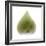 Light 4: Sacred Lotus Bud-Doris Mitsch-Framed Photographic Print