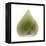 Light 4: Sacred Lotus Bud-Doris Mitsch-Framed Premier Image Canvas