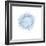 Light 5: Bird's Nest-Doris Mitsch-Framed Photographic Print