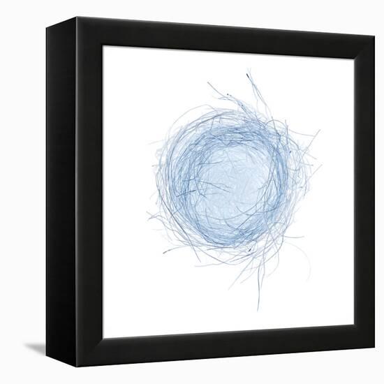Light 5: Bird's Nest-Doris Mitsch-Framed Premier Image Canvas