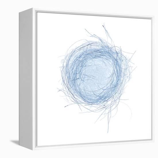 Light 5: Bird's Nest-Doris Mitsch-Framed Premier Image Canvas