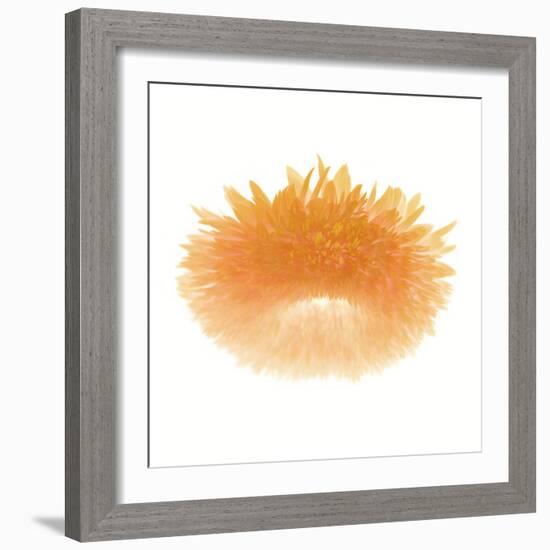 Light 6: Sunflower-Doris Mitsch-Framed Photographic Print