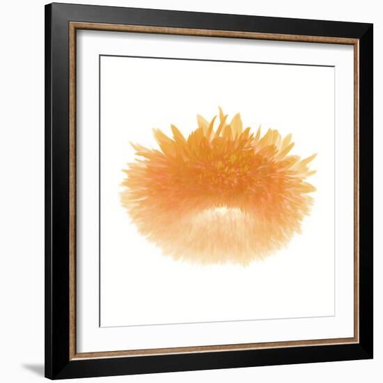 Light 6: Sunflower-Doris Mitsch-Framed Photographic Print