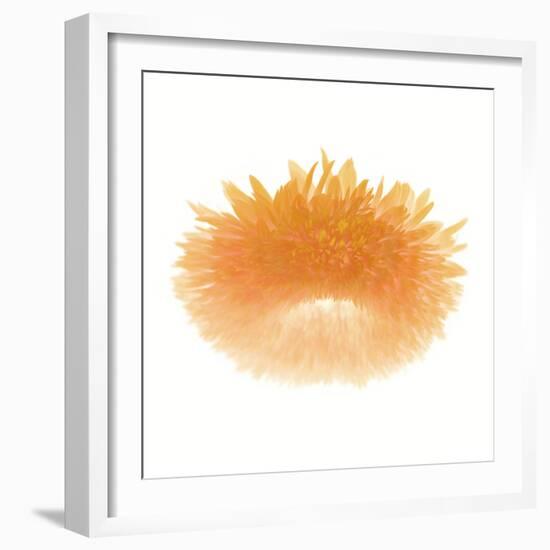 Light 6: Sunflower-Doris Mitsch-Framed Photographic Print