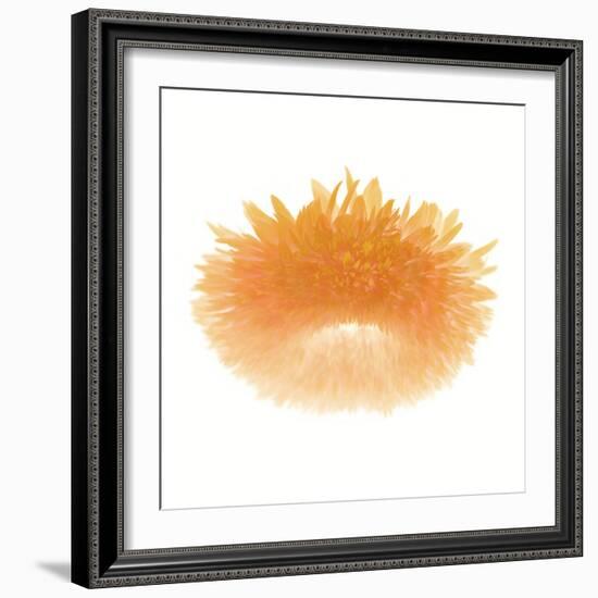 Light 6: Sunflower-Doris Mitsch-Framed Photographic Print