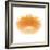 Light 6: Sunflower-Doris Mitsch-Framed Photographic Print