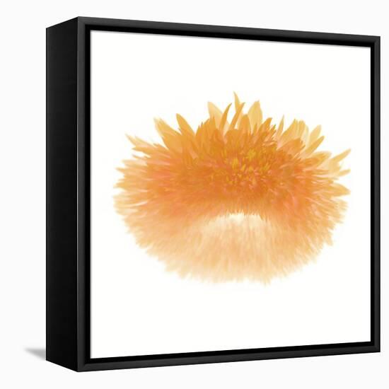 Light 6: Sunflower-Doris Mitsch-Framed Premier Image Canvas