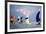 Light Air at Sunset I-Alan Hausenflock-Framed Photographic Print