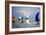 Light Air at Sunset I-Alan Hausenflock-Framed Photographic Print