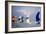 Light Air at Sunset I-Alan Hausenflock-Framed Photographic Print