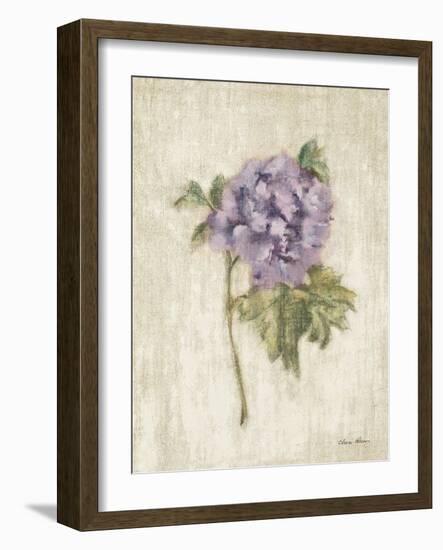 Light and Airy III-Cheri Blum-Framed Art Print