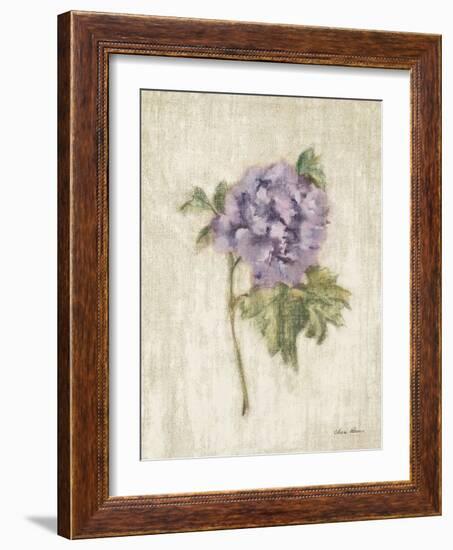 Light and Airy III-Cheri Blum-Framed Art Print