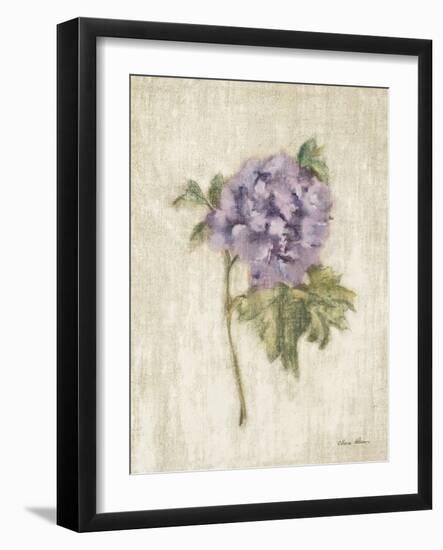 Light and Airy III-Cheri Blum-Framed Art Print