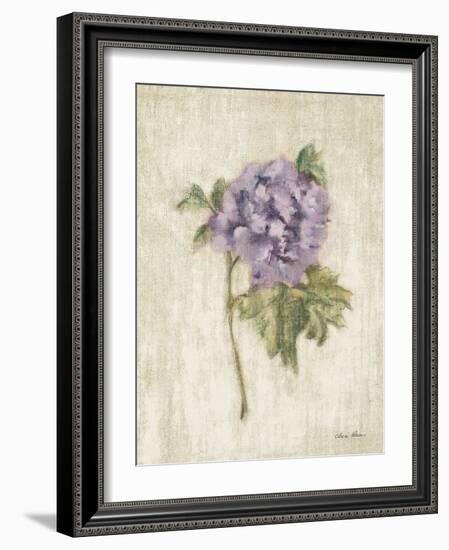 Light and Airy III-Cheri Blum-Framed Art Print