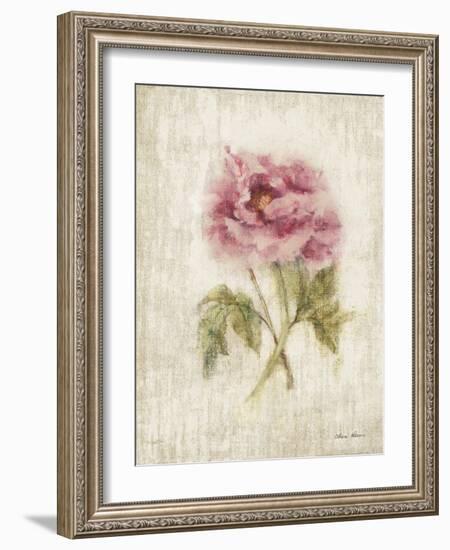 Light and Airy IV-Cheri Blum-Framed Art Print