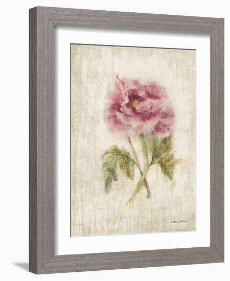 Light and Airy IV-Cheri Blum-Framed Art Print