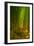 Light and Bamboo Forest, Road to Hana, Maui-Vincent James-Framed Photographic Print