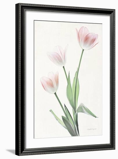 Light and Bright Floral I-Elizabeth Urquhart-Framed Photo