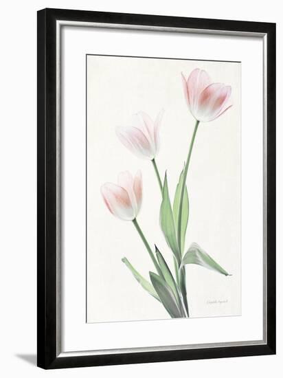 Light and Bright Floral I-Elizabeth Urquhart-Framed Photo