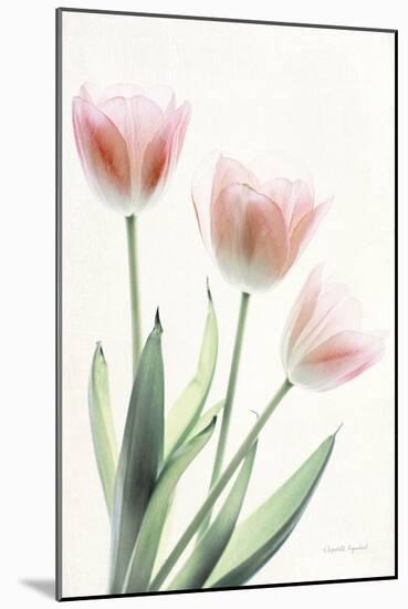 Light and Bright Floral II-Elizabeth Urquhart-Mounted Photo