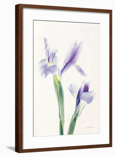 Light and Bright Floral III-Elizabeth Urquhart-Framed Photo