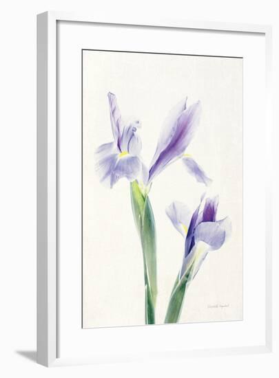 Light and Bright Floral III-Elizabeth Urquhart-Framed Photo