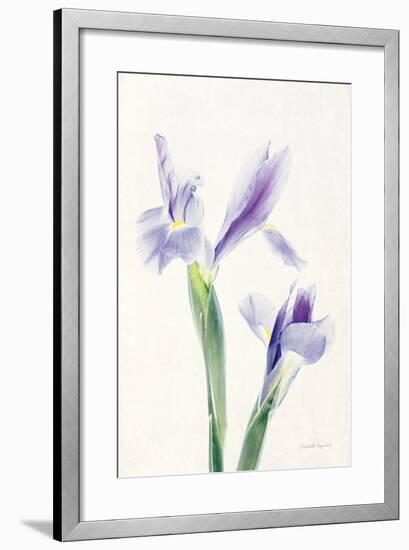 Light and Bright Floral III-Elizabeth Urquhart-Framed Photo