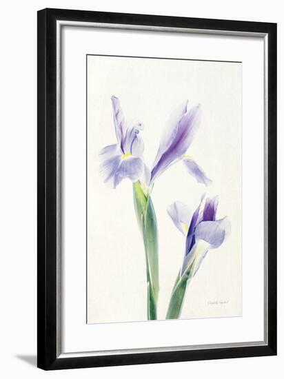 Light and Bright Floral III-Elizabeth Urquhart-Framed Photo