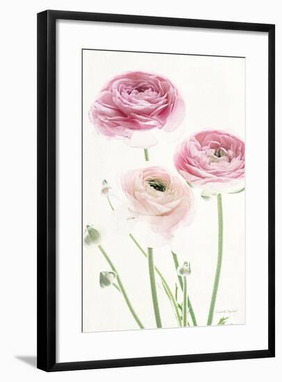 Light and Bright Floral VI-Elizabeth Urquhart-Framed Photo