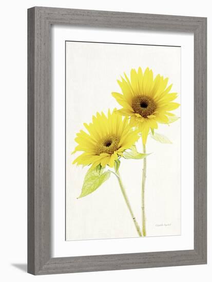 Light and Bright Floral VII-Elizabeth Urquhart-Framed Photo