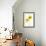 Light and Bright Floral VII-Elizabeth Urquhart-Framed Photo displayed on a wall